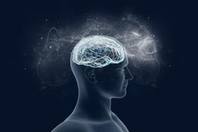 brain-mind